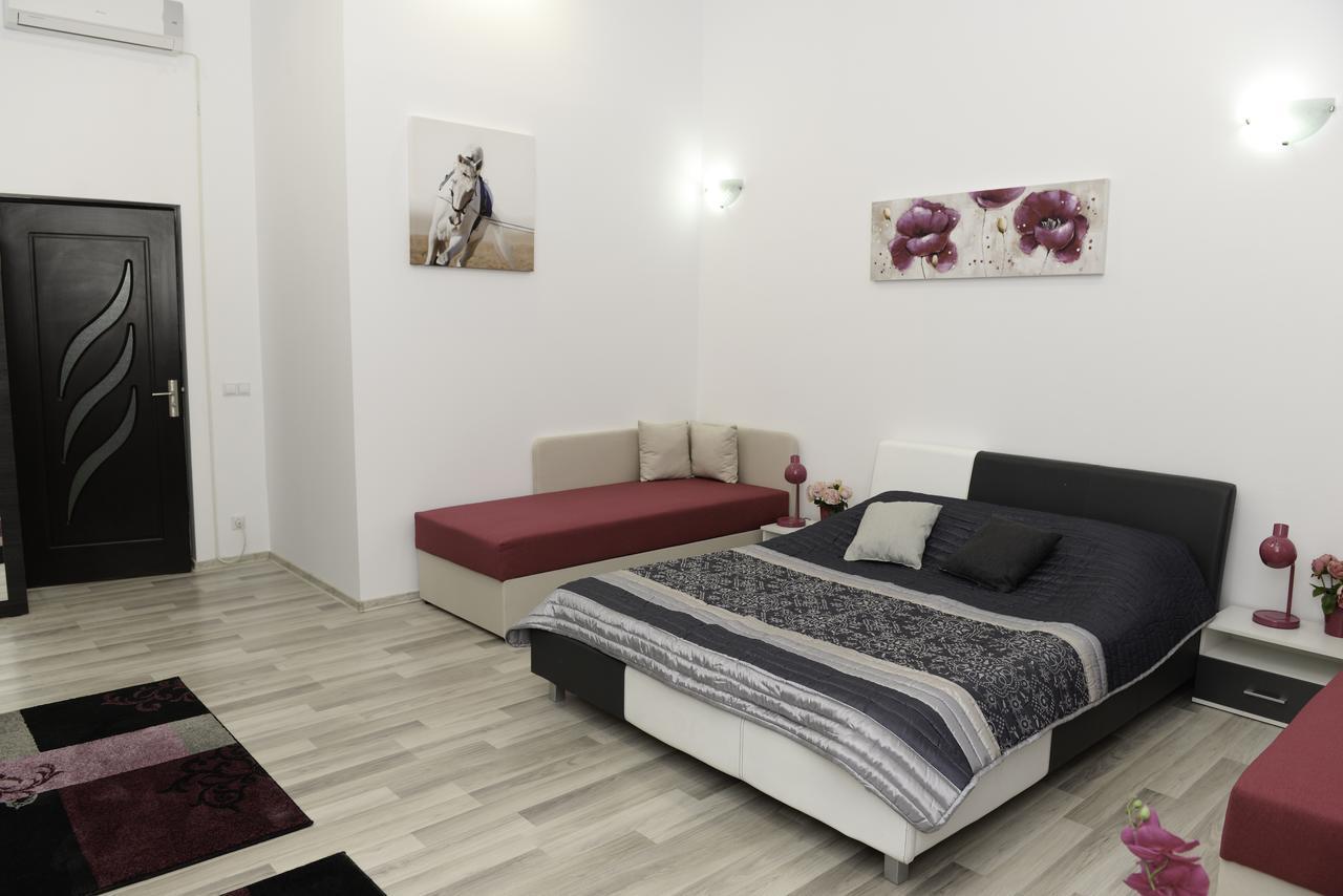 Апартаменты Modern Central-Near Unirii Square Клуж-Напока Экстерьер фото